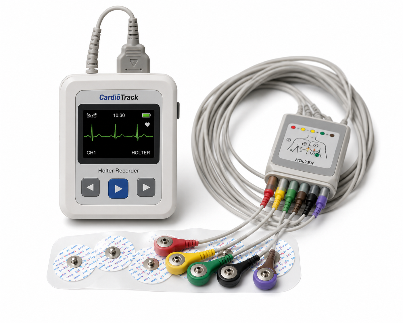Holter Monitörızasyonu